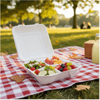 Planet Eco Corp 9 x 9 Inch 3-Compartment Compostable Clamshell To Go Containers, Sugarcane Bagasse Takeaway Containers, Leak-Resistant, Microwave Safe, PFAS-Free, Plastic-Free & Tree-Free Food Packaging