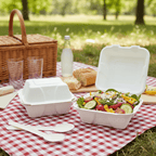 Planet Eco Corp 6 x 6 Inch Compostable Clamshell Food Containers, Pack of 50 – Sugarcane Bagasse Takeaway Boxes, Leak-Resistant, Microwave Safe, PFAS-Free, Eco-Friendly Food Containers